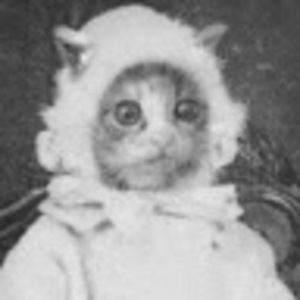 Meet your Posher, Acelya